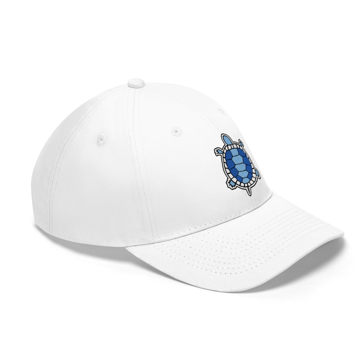 Sky Blue Turtle - For the Kids