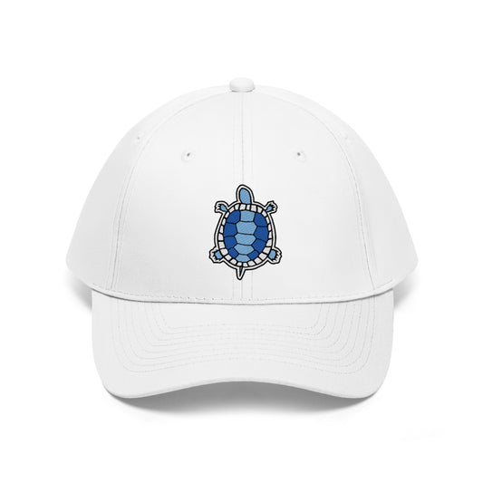 Sky Blue Turtle - For the Kids